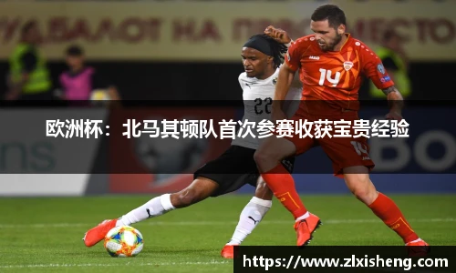 欧洲杯：北马其顿队首次参赛收获宝贵经验
